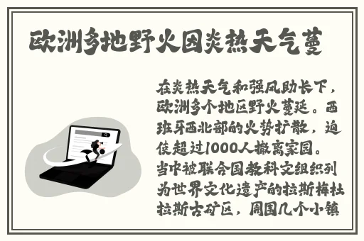 国产精品白浆无码免费看